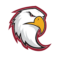 Eagle - Head Only (1) (1).png